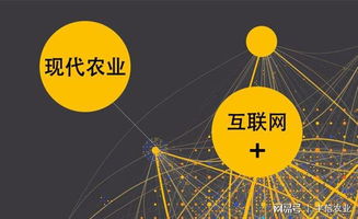 丰信农业 互联网时代下，信息服务如何重塑新农业版图